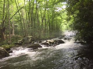 Smokey Mountains Creek